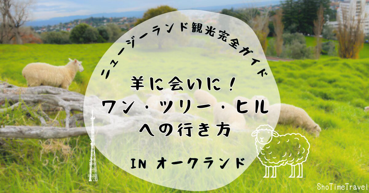 「羊に会いに！ワンツリーヒルへの行き方ニュージーランド観光完全ガイド」