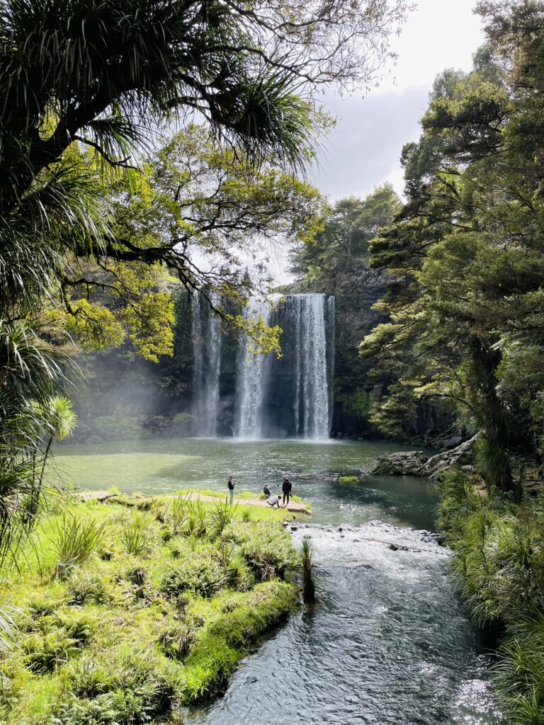 Whangarei falls